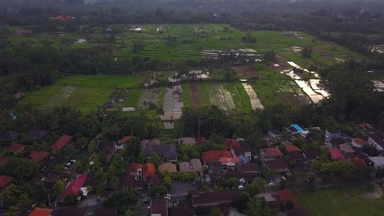 Rice fields near Ubud, Bali island, Indonesia