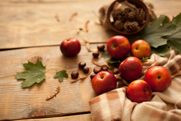 autumn composition of apples red maple leaves green plaid wooden table bumps on a clay plate locking warm light