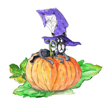 Watercolor hand drawn Halloween black cat  illustration isolated on white background