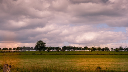 Naklejka premium Vor dem Sturm