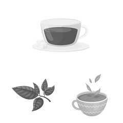 Vector design of green and black symbol. Collection of green and organic vector icon for stock.