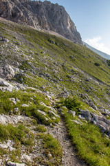 Mountain trail with vivid grass to Rjavina peak