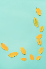 Autumn composition. Fall colorful leaves framed on blue paper background.