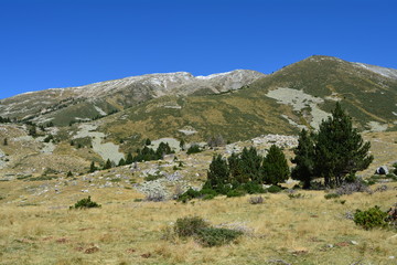 Fototapeta na wymiar Paysages vastes de montagne des pyrénées orientales pour panoramiques dans le vallespir estables