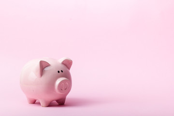 Piggy bank and dollar cash money. Business, finance, investment, saving and corruption concept.