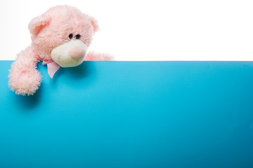 Cute teddy bear pink on color background with copy space