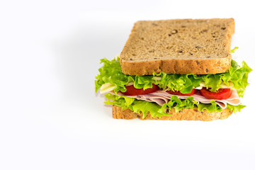 Turkey Sandwich