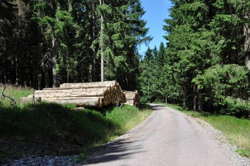 Rennsteig von Neuhaus nach Masserberg