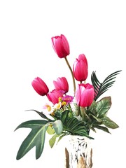 bouquet of tulips isolated on white