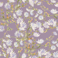 Hand painted watercolor illustration. Floral seamless pattern with flowers of chicory.