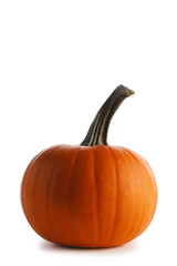Pumpkin isolated on white