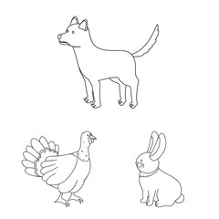 Isolated object of homemade and countryside sign. Collection of homemade and agriculture stock symbol for web.