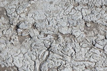 Abstract background. Dried gray paint dried with relief patterns