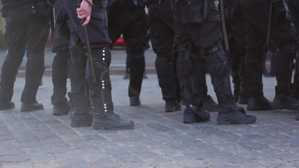 Special police units for protection at demonstrations and rallies