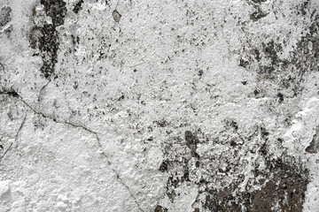 old wall with lichen,moss on the white wal, Dirty white wall background