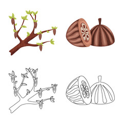 Vector design of food and yummy icon. Set of food and brown vector icon for stock.