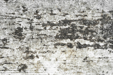 old white wood texture, dirty white background,grunge  background,