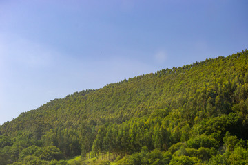 Fototapeta na wymiar Landscape of the North of Spain Asturias