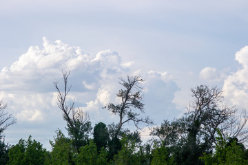 Clouds of storm landscape Zaragoza SPain