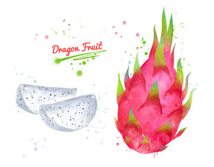 Watercolor illustrations of Dragon fruit