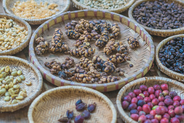 Luwak coffee, Kopi luwak is coffee that includes part-digested coffee cherries eaten and defecated by the Asian palm civet at coffee drying yard in Dalat, Vietnam.
