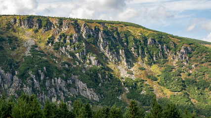 Fototapeta na wymiar Mountain landscape with trees and meadow - Giant Mountains, Karkonosze, Poland. 