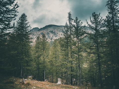 Alpe