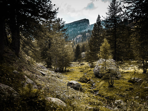 Alpe