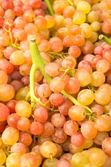 Rose vine grape background