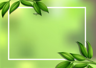 Fototapeta premium Border template with green leaves