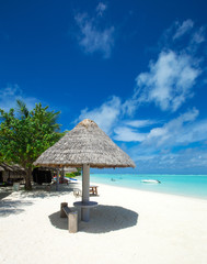 tropical Maldives island with white sandy beach and sea