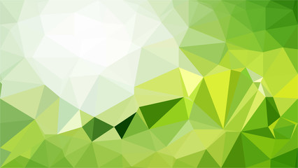 Obraz premium Polygon background illustration vector design