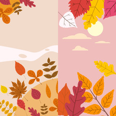 Fototapeta na wymiar Set colorful autumn templates of autumn fallen leaves orange yellow foliage. Backgrounds social media stories banners