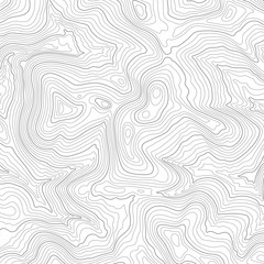 Light topographic line contour map background, stock vector illustration