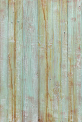 Obraz premium the texture of aged wood green