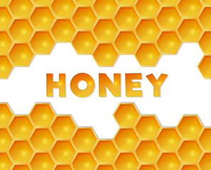 Honeycombs and the word Honey in between. Bright vector concept for banner or poster for beekeeping business. Typography in honey colors.