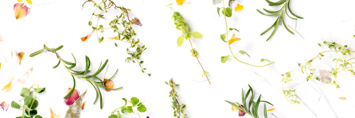 The herbs of Provence panorama. Rosemary, oregano, thyme, and marjoram, shot from the top on a background of dry leaves and petals
