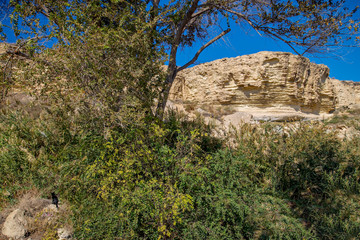 Берег Каспия