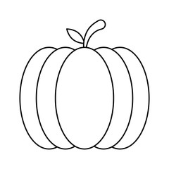 Isolated pumpkin vector design