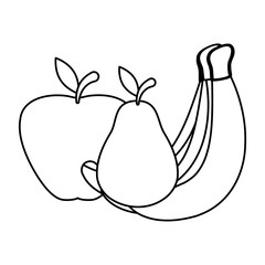 Isolated banana apple and pear vector design