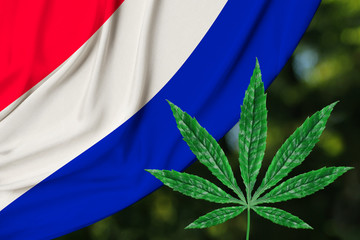 green leaf of hemp and the beautiful silk national flag of the Netherlands, the concept of medical...