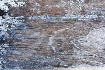 Old wood texture for web background