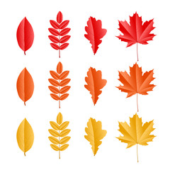 Set of different glossy autumn leaves