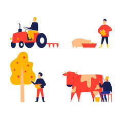 Naklejka premium Autumn, agriculture, a man on a tractor, feeds a pig, milks a cow, picks apples. Flat design