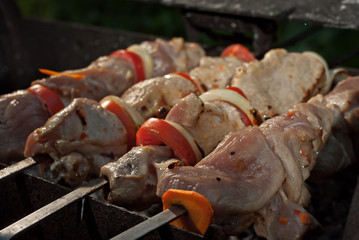 Barbecue fries in the coals. Meat and beef at the field kitchen festival. Cooking in the evening outdoors.