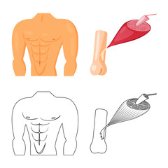 Vector illustration of fiber and muscular symbol. Set of fiber and body stock symbol for web.