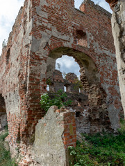 Fototapeta premium impressive ruins, from the castle built in 1266, red brick walls, trees on the walls, Castle Brandenburg, Kaliningrad Oblast, Russia