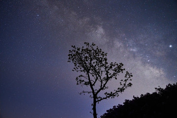 Galaxies of Hwangmaesan Mountain in Hapcheon-gun, Gyeongsangnam-do, South Korea 