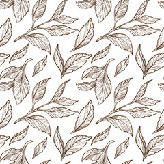 Fototapeta premium Tea leaves sketch seamless pattern, plant or organic product