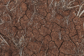 Drought Soil 